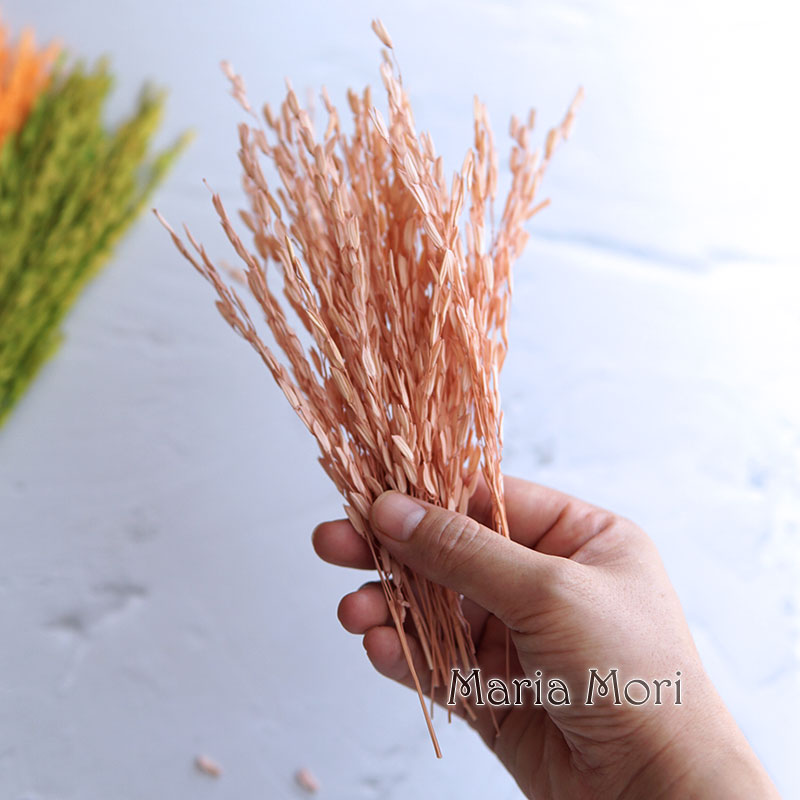 Dried Flower Bulk - 5g/Broomcorn Dyed Dried Nature Flowers Bleached