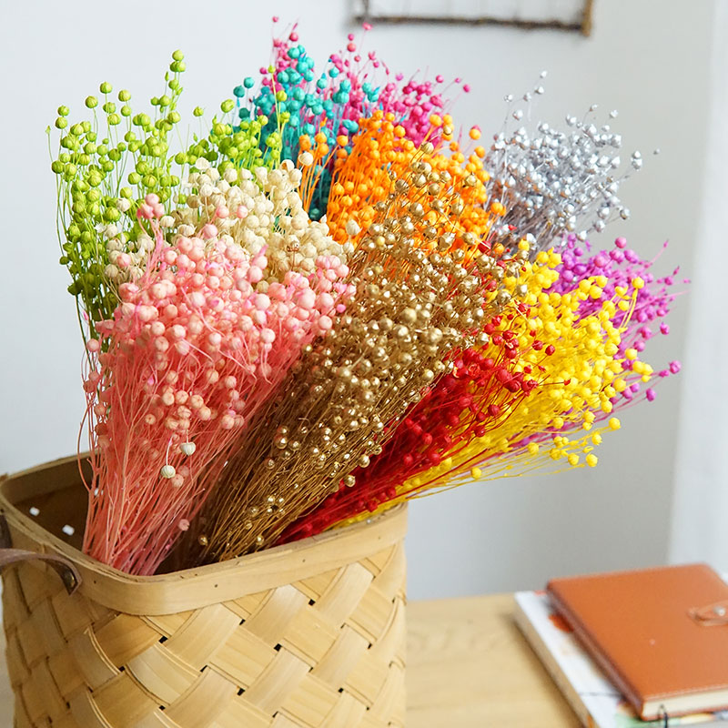 35g/Preserved Ormosia Hosiei N - Dried Flower Bulk recension och pris