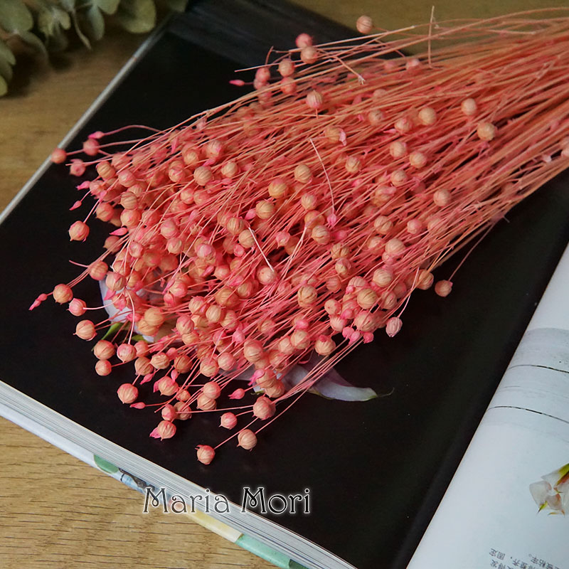 35g/Preserved Ormosia Hosiei N - Dried Flower Bulk recension och pris