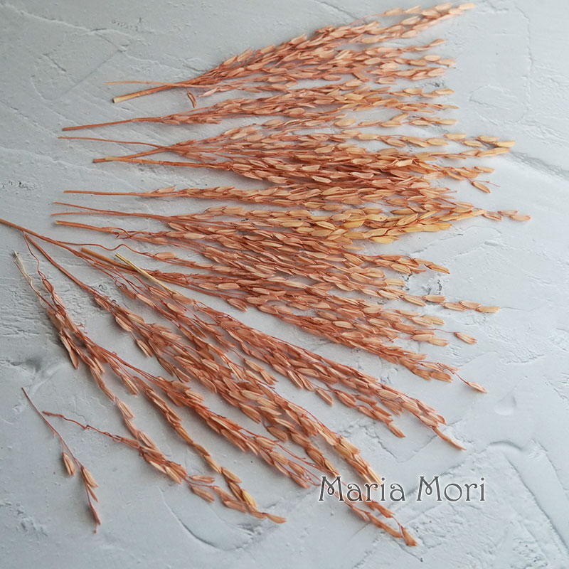 5g/Broomcorn Dyed Dried Nature - Dried Flower Bulk recension och pris