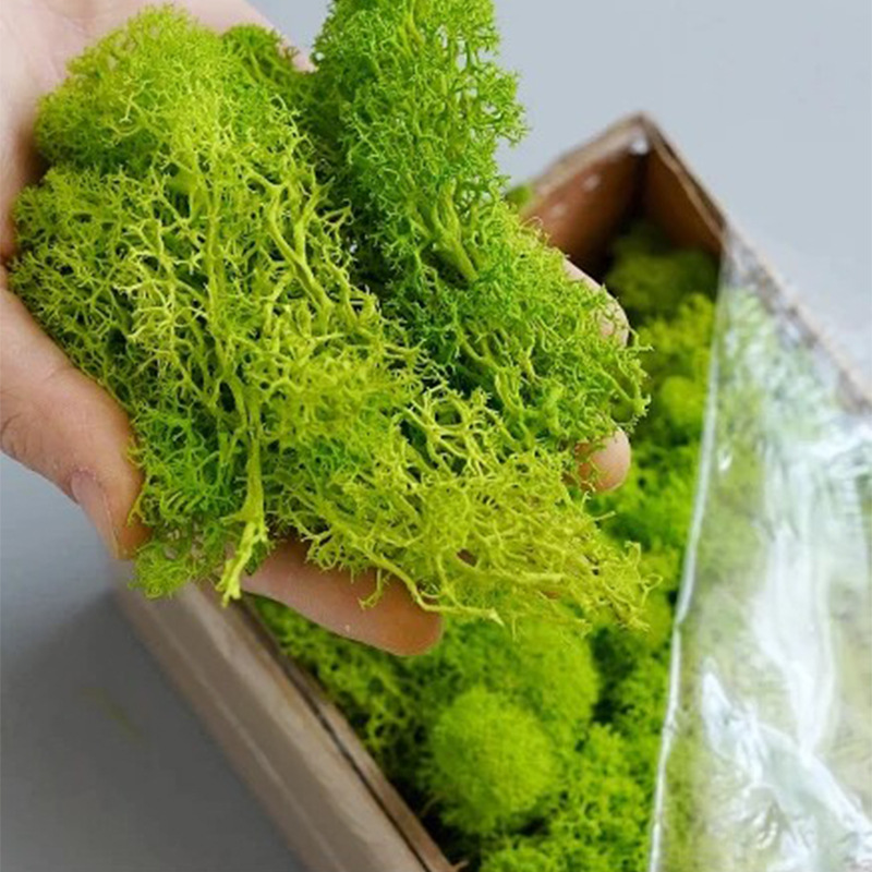 200g Artificial Green Plants M - Terrarium Moss Art recension och pris