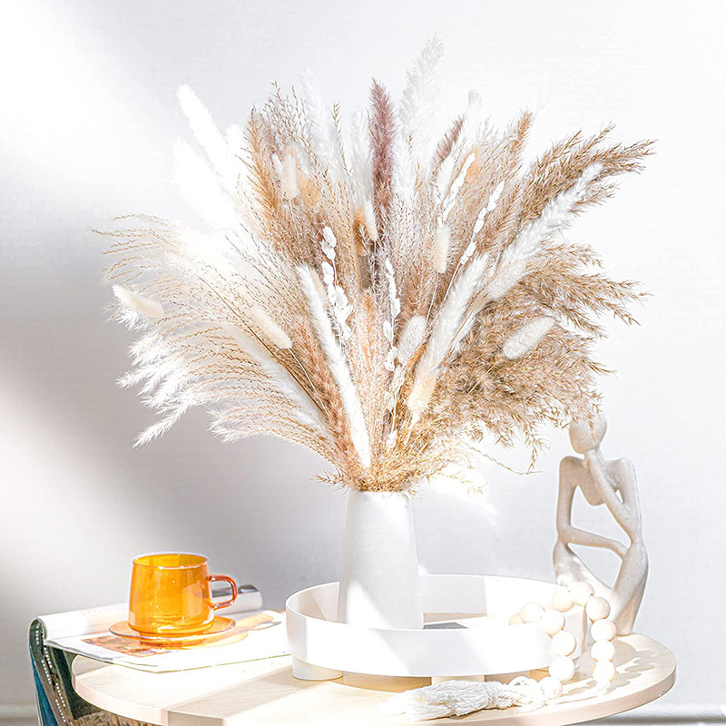 60-100PCS Natural Dried Pampas - Dried Flower Bulk recension och pris