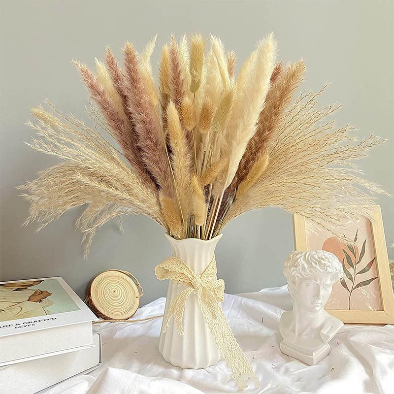 60-100PCS Natural Dried Pampas - Dried Flower Bulk recension och pris